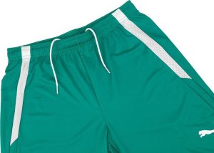 Puma Spodenki męskie Puma teamLIGA zielone 704924 05 S 4