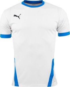 Puma Koszulka dla dzieci Puma teamGOAL 23 Jersey biało-niebieska 704160 12 176cm 1