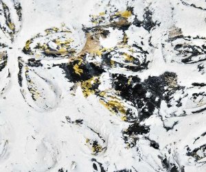 Belldeco Albero white Osłonka kwiaty B 4