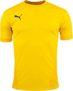 Puma Koszulka dla dzieci Puma teamGOAL 23 Jersey żółta 704160 07 128cm 1