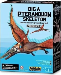 4M 4M craft kit "Dig a Pteranodon skeleton" 1