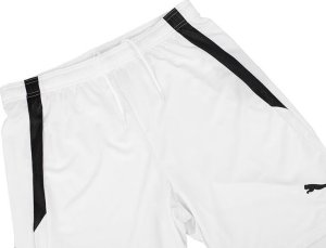 Puma Spodenki męskie teamLIGA białe 704924 04 S 5