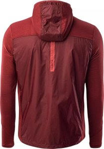 Iguana Męska Bluza SCONE 3