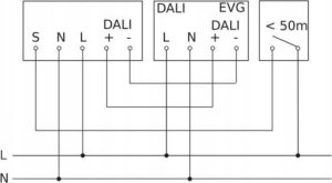 Steinel Czujnik prawdziwej obecności Steinel True Presence DALI-2 APC UP 2