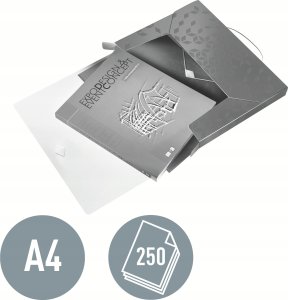 Leitz Box file Leitz WOW 5