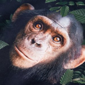 vidaXL Bluza dziecięca, ciemne khaki, 140 4