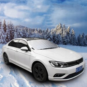 Geko Mata antyszronowa na szybę 150x70cm + uszy (100) 2