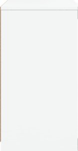 vidaXL vidaXL Szafka z oświetleniem LED, biała, 41x37x67 cm 7