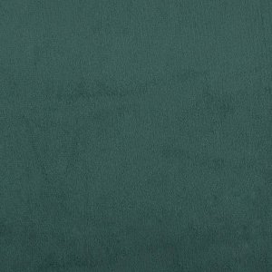 vidaXL 2-częściowy komplet wypoczynkowy z poduszkami, ciemnozielony, aksamit 5