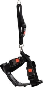 Sourcing CAR SAFETY HARNESS KARLIE 40-60CM BLACK 1