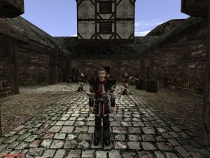 Gothic II: Gold Edition PC, wersja cyfrowa 10