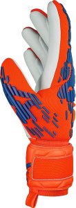 Reusch Rękawice Reusch Attrakt Freegel Silver 54 70 235 2210 4