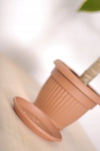 Prosperplast PODSTAWKA TERRA - TERAKOTA 2