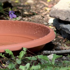 Prosperplast PODSTAWKA TERRA - TERAKOTA 4