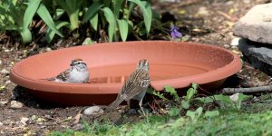 Prosperplast PODSTAWKA TERRA - TERAKOTA 10