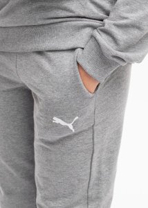 Puma Spodnie dla dzieci Puma Team Goal szare 658601 33 128cm 3