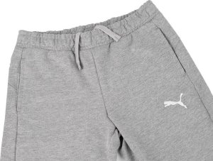 Puma Spodnie dla dzieci Puma Team Goal szare 658601 33 116cm 4