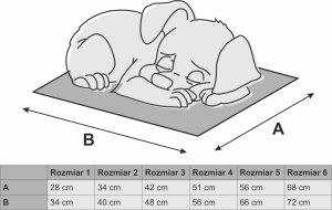 DOGGY R2 BUDA LAMB POPIELATA 11