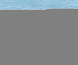 Bestway Bestway 36405 Kółko do pływania Pingwin 50cm x 46cm 29