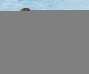 Bestway Bestway 36405 Kółko do pływania Pingwin 50cm x 46cm 30