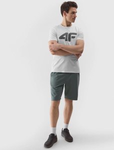 4f T-shirt 4F 4FWSS24TTSHM1155 10S 4