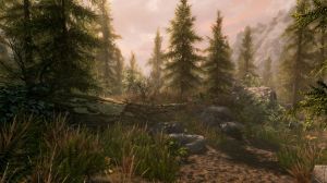 The Elder Scrolls V: Skyrim - Special Edition PC, wersja cyfrowa 3