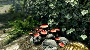 The Elder Scrolls V: Skyrim - Special Edition PC, wersja cyfrowa 4