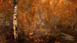 The Elder Scrolls V: Skyrim - Special Edition PC, wersja cyfrowa 7