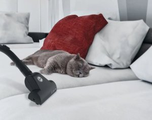 Odkurzacz Hoover Vacuum cleaner Hoover BV60PET 011 3