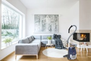 Odkurzacz Hoover Vacuum cleaner Hoover BV60PET 011 6