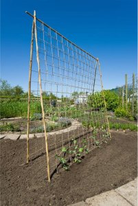 Nature Siatka na pnącza, z juty, 1x3 m, naturalna 3