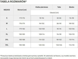 4f Spodnie dresowe 4F Męskie sportowe joggery granatowe XL 4