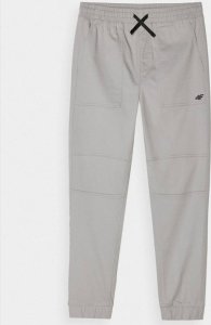 4f Spodnie 4F 4FJWSS24TTROM588 20S 2