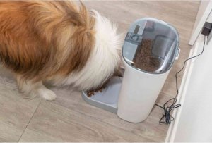 Trixie Automat na karmę Trixie 4,5 L 24 x 38 x 19 cm 3