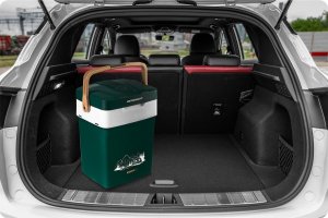 Lodówka turystyczna Berdsen Lodówka turystyczna Berdsen Icemax 29 litry tryb ECO - zielona 7