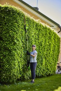 Greenworks Nożyce akumulatorowe GD60PHT51 51 cm 3