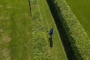 Greenworks Nożyce akumulatorowe GD60PHT51 51 cm 4