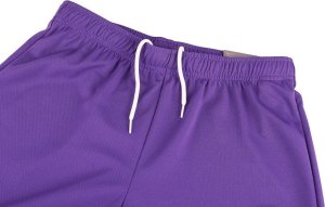 Puma Spodenki męskie Puma teamRISE Short Prist fioletowe 704942 10 2XL 5