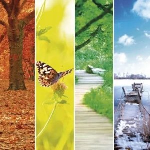 Emos Termometr bezprzewodowy bateryjny Emos E0129 komunikacja radiowa do 80m biały 11