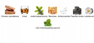 Cartier Perfumy Męskie Cartier Pasha de Cartier Parfum 100 ml 5