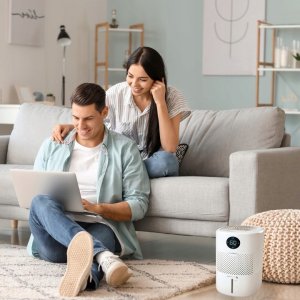 Nawilżacz powietrza Webber Nawilżacz powietrza ewaporacyjny Webber HH1002 2