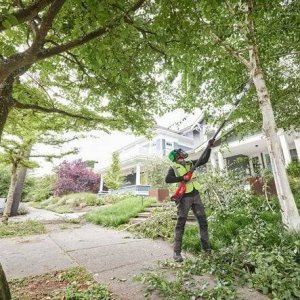 Piła łańcuchowa Milwaukee MILWAUKEE.BOOM CHAINSAW M18FTPS30-121 4