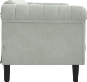 vidaXL Sofa dwuosobowa, jasnoszara, aksamit 5