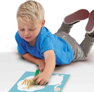 SES SES My first crayons Animal cards 5