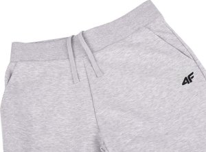 4f Spodnie męskie dresowe joggery 4F M603 szare 4FWSS24TTROM603 27M L 4