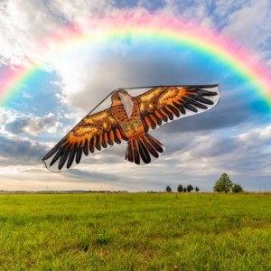 Gazelo Latawiec Z9619 54788 2