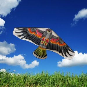 Gazelo Latawiec Z9619 54788 3