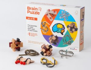 Recent Toys RECENT TOYS Brainteaser Brain puzzle set 1