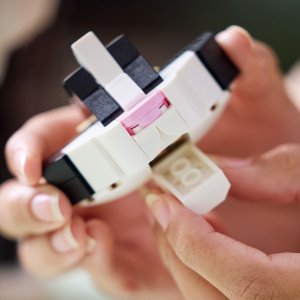 LEGO Ideas Biało-czarny kot (21349) 9