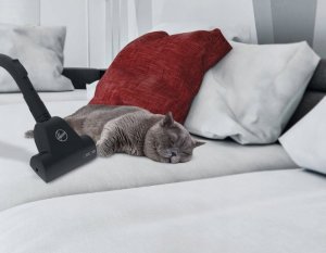 Odkurzacz Hoover Odkurzacz Hoover HP320PET Czarny 850 W 12